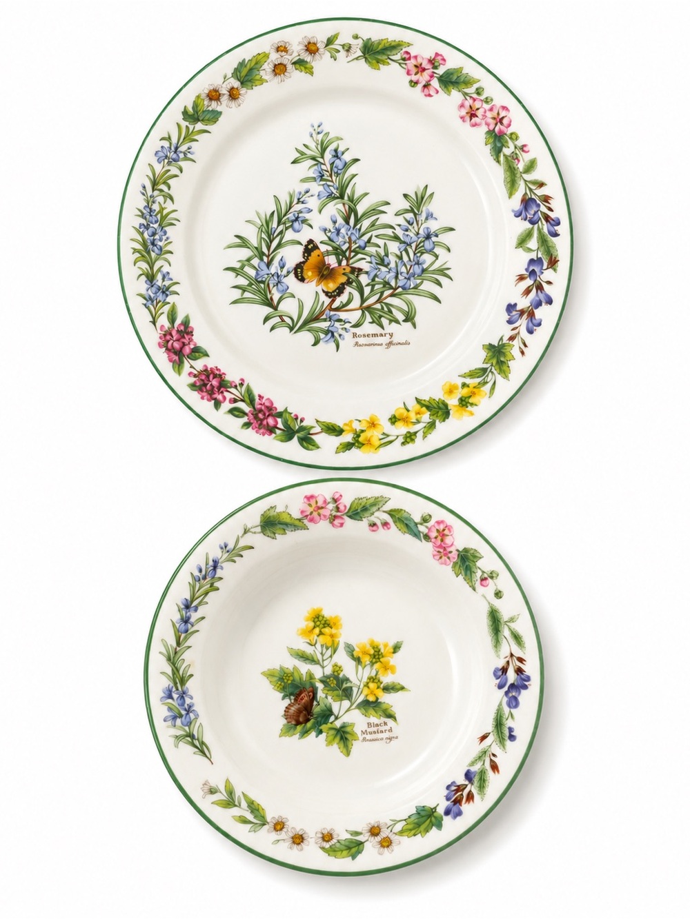 Royal Worcester Herbs Green Trim Botanical Plates Set of 2